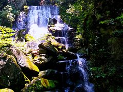-藏龙百瀑风景区