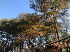 -岳麓山风景名胜区