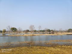-良渚古城遗址公园