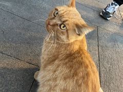 -情忆草原涮肉馆