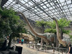 -国家自然博物馆