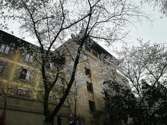 -武汉大学-樱园