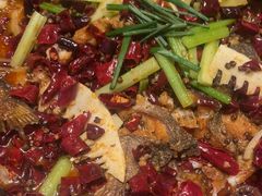 -老板恋上鱼(恒隆广场店)