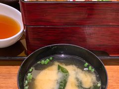 -胜博殿霸王树(嘉里中心店)