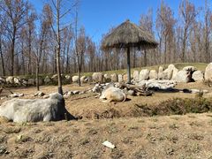 -北京野生动物园