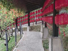 -广州市白云山风景名胜区