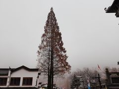 -九华山风景区