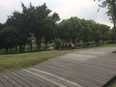 -太湖湖滨国家湿地公园-停车场