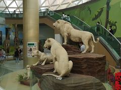 -陕西自然博物馆