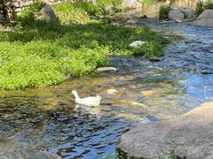 -北京水岸山吧度假村(雁栖镇店)
