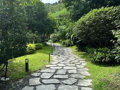 -云溪植物园
