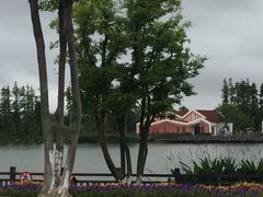 -上海长兴岛郊野公园