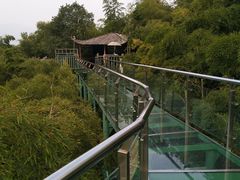 -陶祖圣境风景区