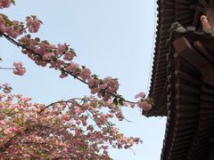 -西安青龙寺遗址景区