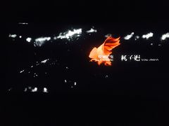 -万达广场(沈阳铁西店)