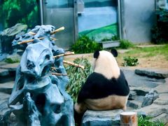 -大连森林动物园