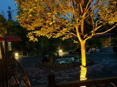 -森居forest休闲咖啡聚集地