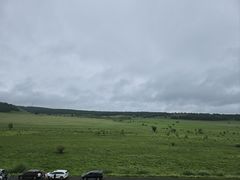 -塞罕坝国家级自然保护区