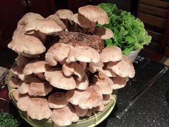 -捞王猪肚鸡火锅(昆山店)