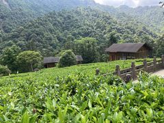 -姑婆山旅游区