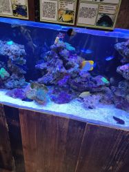 -Zoolung Zoolung动物主题公园(海信广场店)