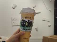 -雾与山茶(大禹城店)