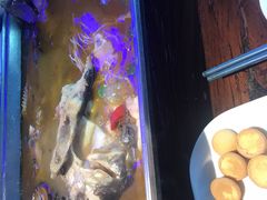 -半天妖烤鱼(中百店)