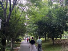 -雨湖公园