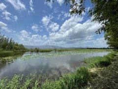 -野鸭湖国家湿地公园