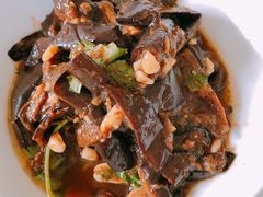 -食家鸽园