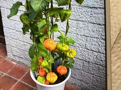 -超群咖啡葡式美食(南贵花园店)