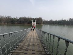 -东湖落雁景区