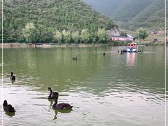 -静之湖度假区