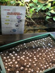 -酷嗒动物文化乐园(cutezoo西溪乐天城店)