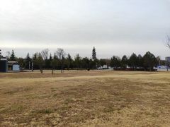 -洛阳市隋唐城遗址植物园