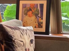 -咖法森林·咖啡  酒吧(天河店)