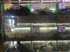 -覃记海鲜美食餐厅