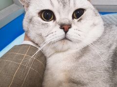 -灵美宠物诊所