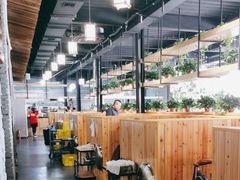 -桃源村铁锅炖鱼(体育馆道店)