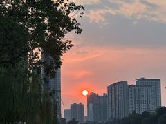 -新南门(地铁站)