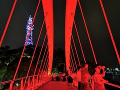 -金鸡山公园