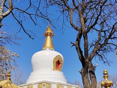 -护国法轮寺
