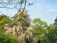 -深圳国际园林花卉博览园