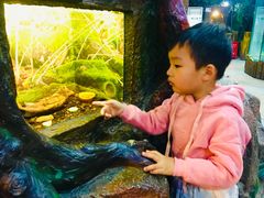 -上海大自然野生昆虫馆(东方明珠·爬宠昆虫探索中心)