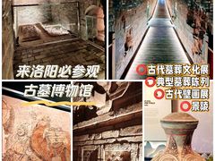 -洛阳古墓博物馆