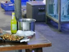 -八仔大富楼·河鲜(西江店)