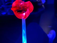 -Global酒吧(五道口店)