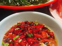 -南门四季铜锅涮肉(大屯·北苑店)