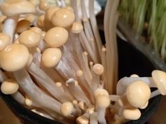 金色金针菇-海底捞火锅(汉峪金谷店)