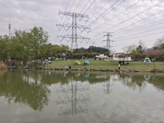 -九里河湿地公园